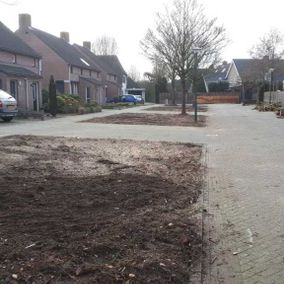 Beplanting en bomen verwijderd in Lieshout.