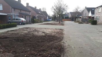 Beplanting en bomen verwijderd in Lieshout.